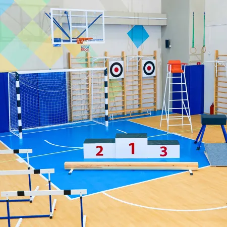 Щит для метания навесной на шведскую стенку (фанера) 700х700 ZAVODSPORTA за 8&nbsp;960 ₽ купить в Орле